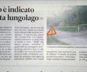Articolo Trentino 06/06/2020