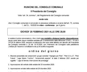 CONVOCAZIONE CONSIGLIO COMUNALE 25/02/2021